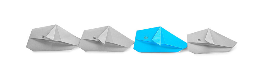 Origami whales on white background. Concept of uniqueness