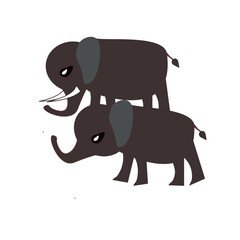 couple of elephants on a white background