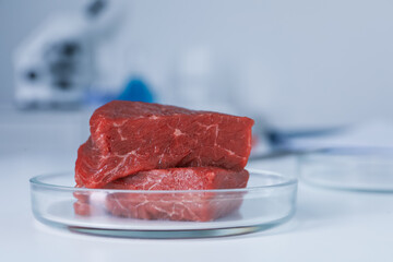 Petri dish with pieces of raw cultured meat on white table in laboratory, closeup. Space for text