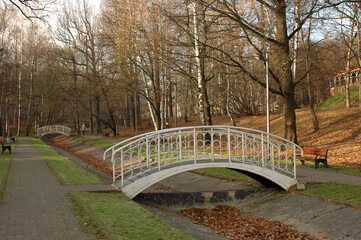Deserted autumn Park. Empty benches and fallen leaves.