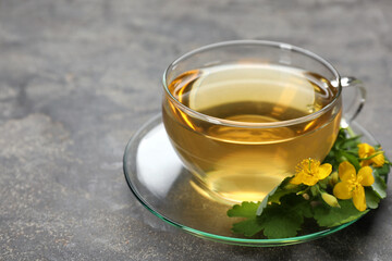 Glass cup of aromatic celandine tea and flowers on grey table, closeup. Space for text