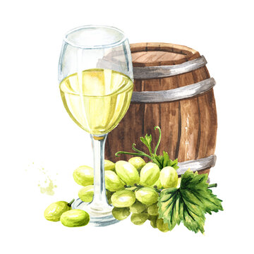 White wine glass with vine leaves and grape berries and Wooden barrel. Hand drawn watercolor illustration isolated on white background