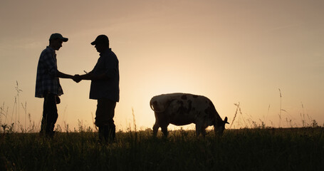 Two farmers shake hands, stand on the pasture where cows graze. Deal in agro-business concept