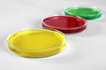 Petri dishes with colorful liquids on white background, closeup