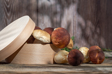 Fresh boletus mushrooms on a wooden background still life