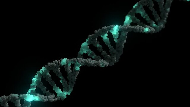 DNA strand double helix looped animation