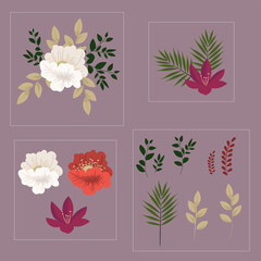Beautiful set of flowers - flowers and leaves