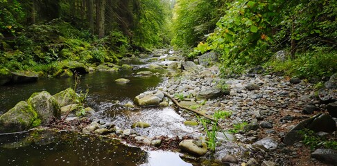 Tal der Großen Mühl bei Neufelden im Mühlkreis