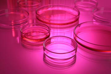 Petri dishes with liquid on table, toned in pink