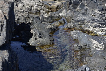 Fototapeta premium the sea and allits strength