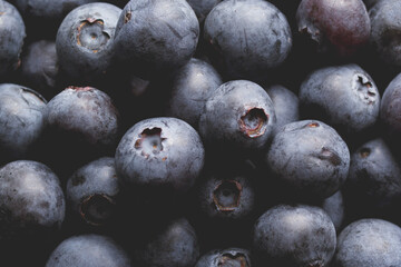 Close up view of ripe blueberries.