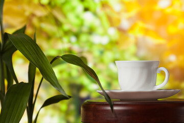 White cup of coffee or tea on a wooden table over blurred tree with sun lighting