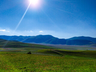 Obraz premium fioritura castelluccio di norcia