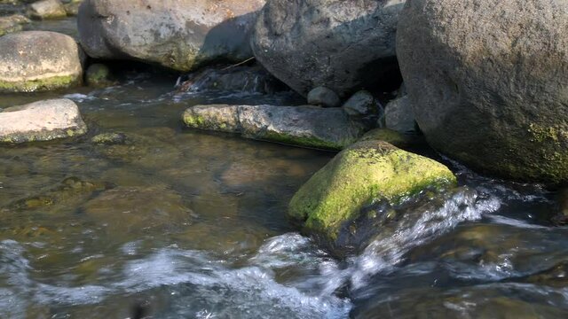Beautiful riverside with fresh clear water flow between rocks boulder panning shot movement