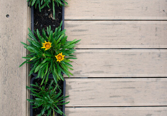 Decor of the border of a garden path from a wood-plastic composite board with flowers and green plants