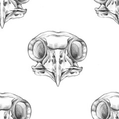 seamless pattern with  big owl skull