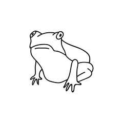 Single hand drawn frog. Funny toad. Doodle vector illustration. Isolated on a white background.