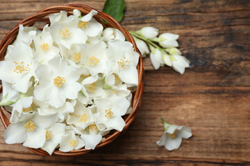 Fototapeta na wymiar Beautiful jasmine flowers in wicker bowl on wooden table, top view. Space for text
