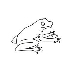 Single hand drawn frog. Funny toad. Doodle vector illustration. Isolated on a white background.