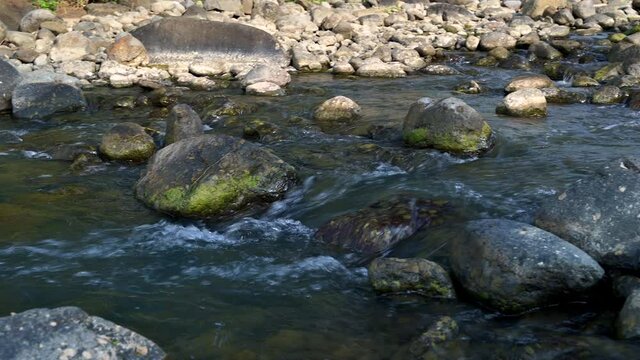 Low angle shot of rocky riverside with beautiful water flow and green wood background