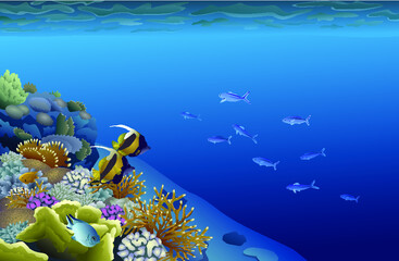 Coral reef underwater view