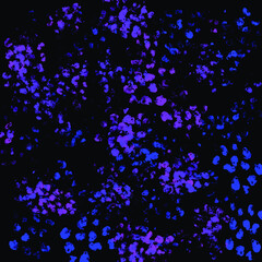 Light Purple vertical illustration which consist of circles. Dotted gradient design for your business. Creative geometric background in halftone style with colored spots. Vector illustration