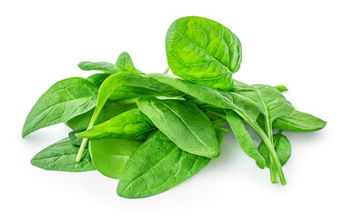 Spinach leaves isolated on white background. Various Spinach leaf Macro. Top view. Flat lay..