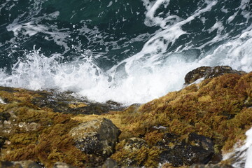 yhe waves crashing on the rocks