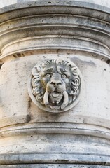 detail of lion on the door of the cathedral