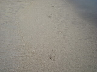 Fototapeta na wymiar Huellas de pies en la arena
