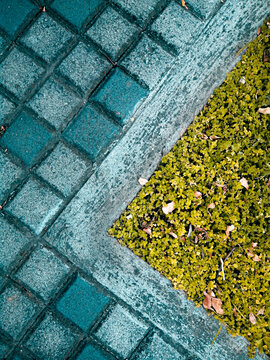 Las texturas en la acera y el arriate