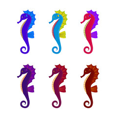 Colorful seahorses set. Vector elements for design isolated on white background.