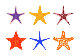 Starfishes of different shapes and colors set. Vector elements for design isolated on white background.