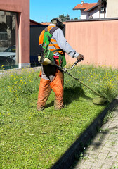 gardener cut the grass - 442223112