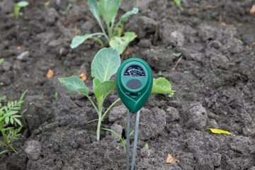 Soil measurements with a digital device. Green plants measure pH and soil moisture. High tech...