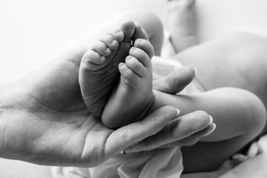 hands of parents. the legs of the newborn in the hands of mom and dad. baby's legs in his hands. black and white pictures