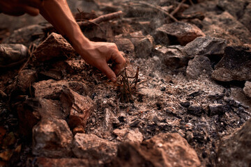 Close up shot of male hands making camp fire at sunset