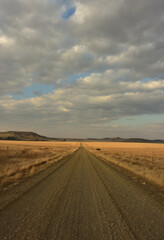Fototapeta na wymiar An endless gravel road stretching through the golden landscape of the Eastern Free State in South Africa