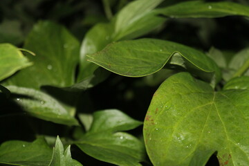 This is life in Russia it is very beautiful