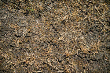 Photos of brown dry land with cracks, drought on the ground