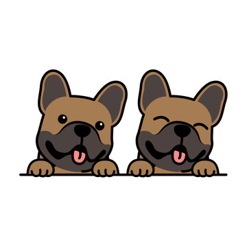 Cute brown french bulldog puppy cartoon, vector illustration