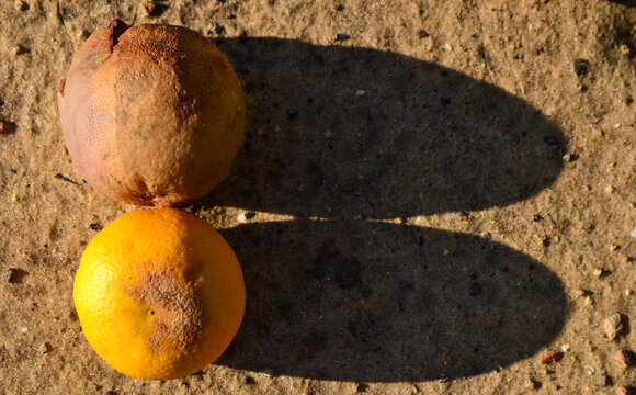 cocodying fruit foot steps