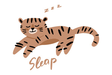 Cute sleeping tiger cub in a cartoon children's style. Vector illustration on a white background. Children's illustration.