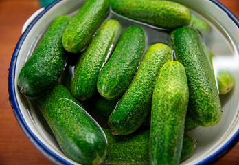 Green fresh cucumber in water