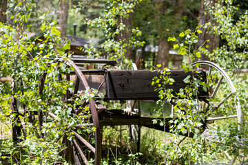 Naklejka premium Rustic Wagon