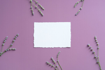 Blank paper card mockup and lavender flowers on purple background. Flat lay, top view.