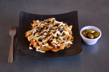 Asada Fries Mexican Food