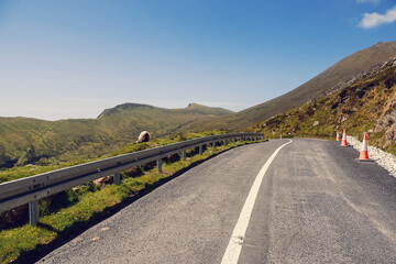 Small asphalt road to Keem beach, sheep grazing grass on a side of a road. Warm sunny day with blue sky. Travel concept. Achill island, county Mayo, Ireland