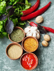 Georgian spices in clay jars on a plate.