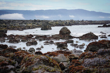 Fototapeta na wymiar Coastal shoreline in Northern California with Rocks
